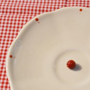 Mi pequeño huerto urbano y … mi fresa!